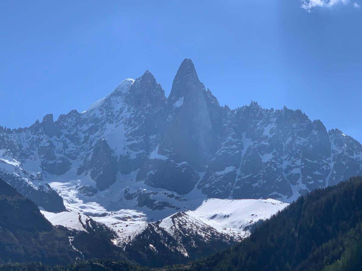 Hotel Le Labrador Chamonix Exterior photo